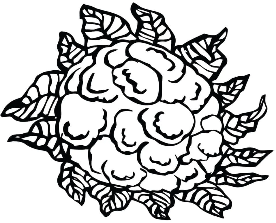 Chou Fleur 21
